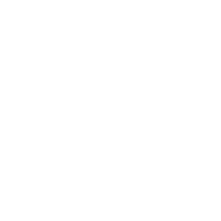 Royanix Holding